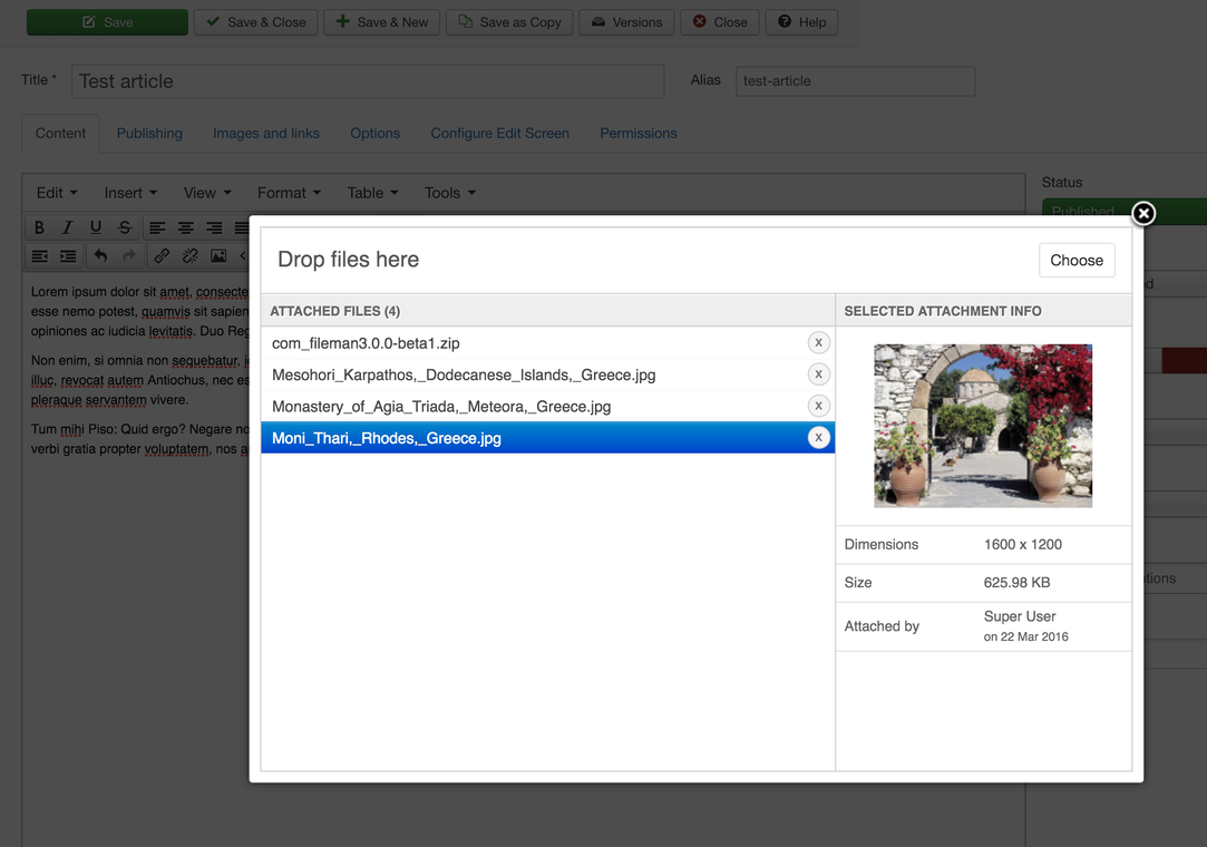 Screenshot of FILEman attachment management UI