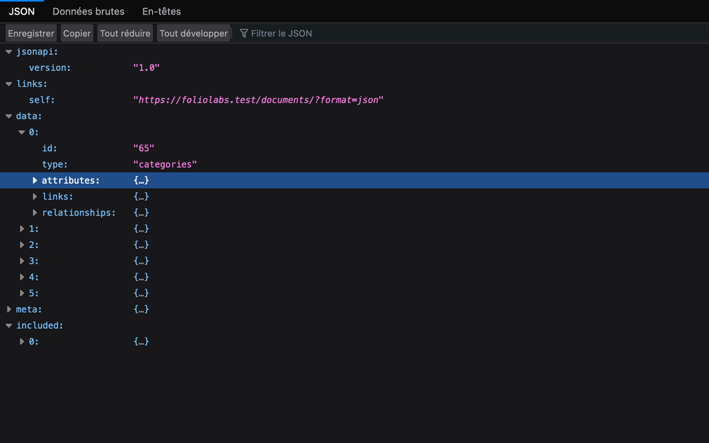 A screenshot of DOCman for WordPress json api view